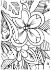 Spectrum Noir Colorista Premium Marker Pad, Exquisite Florals fra Crafters Companion - Udsøgte blomster, malebog