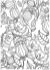 Spectrum Noir Colorista Premium Marker Pad, Exquisite Florals fra Crafters Companion - Udsøgte blomster, malebog