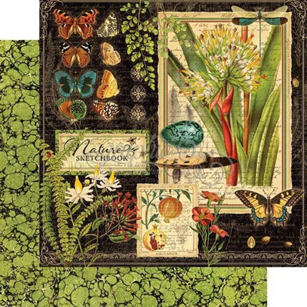 Designpapir 12x12 fra Graphic 45 - Nature Sketchbook 