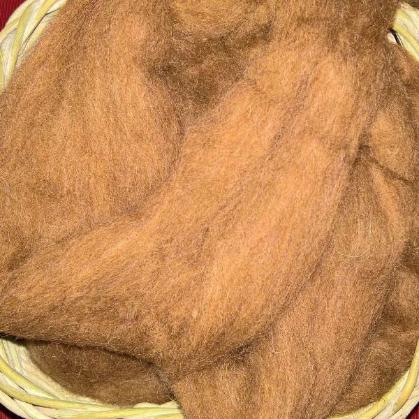 Natur brun Shetland tops til spinding af garn