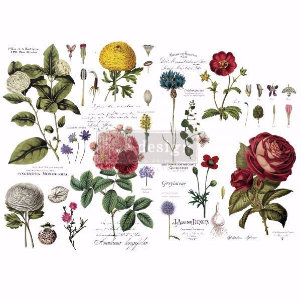 Re-design with Prima - Vintage Botanical - 120 x 88 cm Decor Transfer - 646509