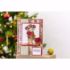 Holly Poinsettias Stempel sæt fra Crafters Companion til scrapbooking og kort - CF-STP-HOLPO