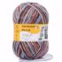 Schachenmayr Regia Design Line strømpegarn af Arne & Carlos - 100 gram garnenøgle med 2 ens mønsterlængder til perfekte strømper - 03655