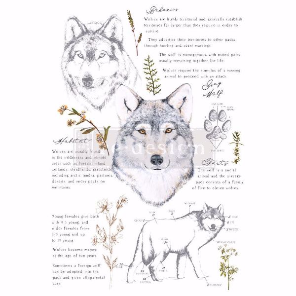 Re-design with Prima - Grey Wolf 60 x 88 cm Decor Transfer - 646226