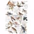 Re-design with Prima - Postal Birds 60 x 88 cm Decor Transfer - 647551