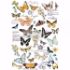 Re-design with Prima - Butterfly Dance 60 x 88 cm Decor Transfer - 647636