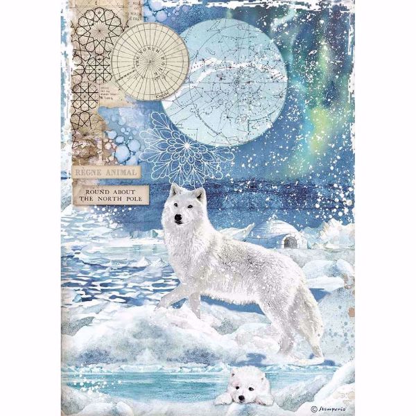 Stamperia Ris papir til decoupage scrapbooking og kort - DFSA4480 - Wolf