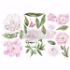 Re-design with Prima - Morning Peonies  3 stk af 15 x 30 cm Decor Transfer - 653477