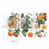 Re-design with Prima - Citrus Slice - 3 stk af 15 x 30 cm Decor Transfer - 657444