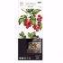 Re-design with Prima - Sweet Berries - 3 stk af 15 x 30 cm Decor Transfer - 657376