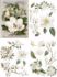 Belles And Whistles - Magnolia Garden - 61 x 96 cm Decor Transfer - DXBW27930