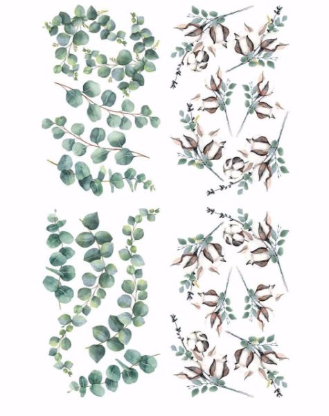 Belles And Whistles - Cotton & Eucalyptus - 61 x 96 cm Decor Transfer - DXBW28463