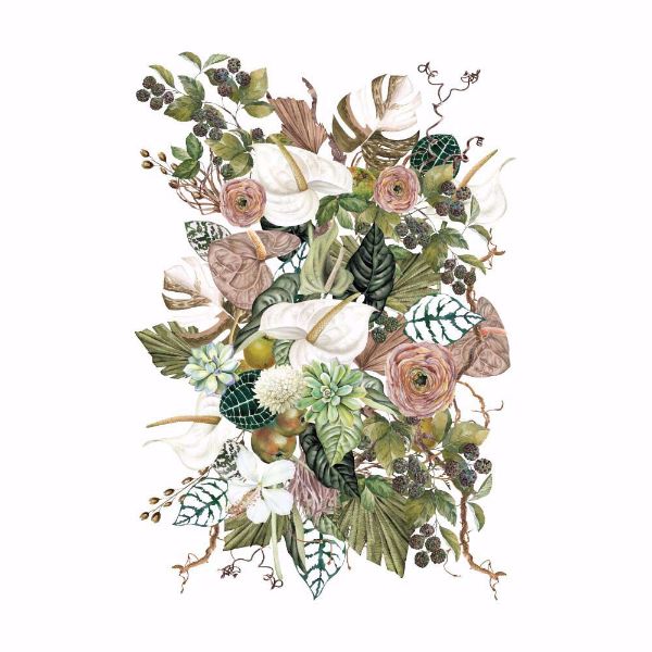 Re-design with Prima - Anthurium - 61 x 89 cm Decor Transfer - 656393