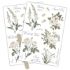 Craft Consortium - Belle Fleur - Rub-on Transfers - 2 stk af 12,5 x 18,5 cm Decor Transfer - CCRUBT001