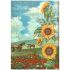 Stamperia Sunflower Art A4 Rice Paper Backgrounds kollektion (6 stk) - DFSA4XSF