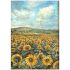 Stamperia Sunflower Art A4 Rice Paper Backgrounds kollektion (6 stk) - DFSA4XSF