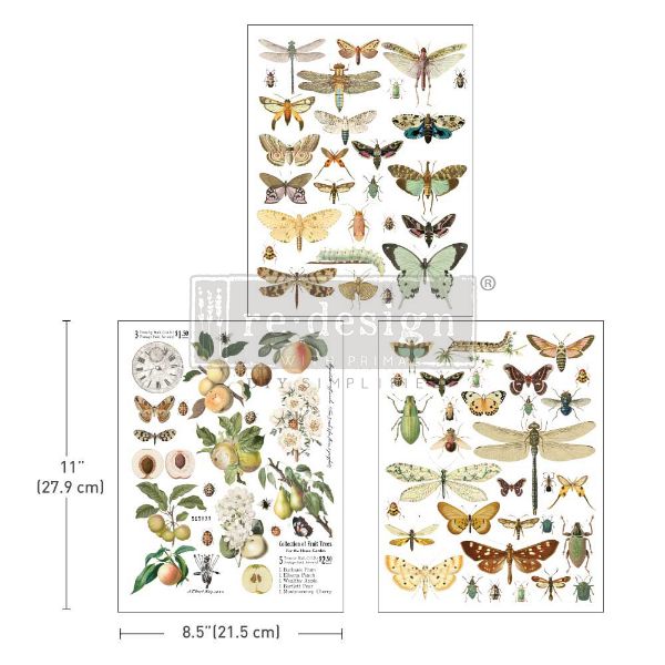 Re-design with Prima - Bug Whisperer - 3 stk af 21,5 x 28 cm Decor Transfer - 665883