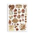 Stamperia Washi Pad - Coffee and Chocolate - A5 med 8 sider - SBW01