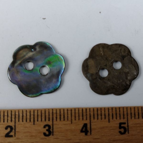 Petroleum blomst perlemorsknap - 17 mm