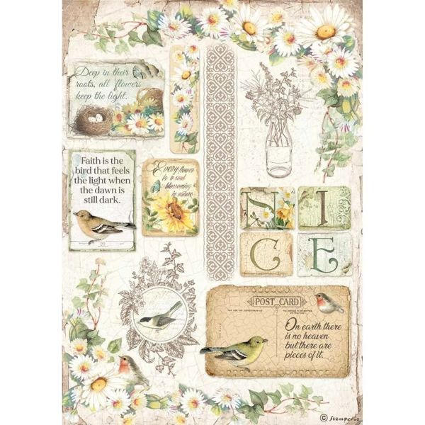 Daisy - A4 Ris Papir 1 ark - DFSA4620