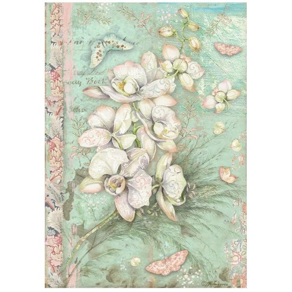 White Orchid - A4 Ris Papir 1 ark - DFSA4848