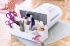 Gemini Storage Caddy